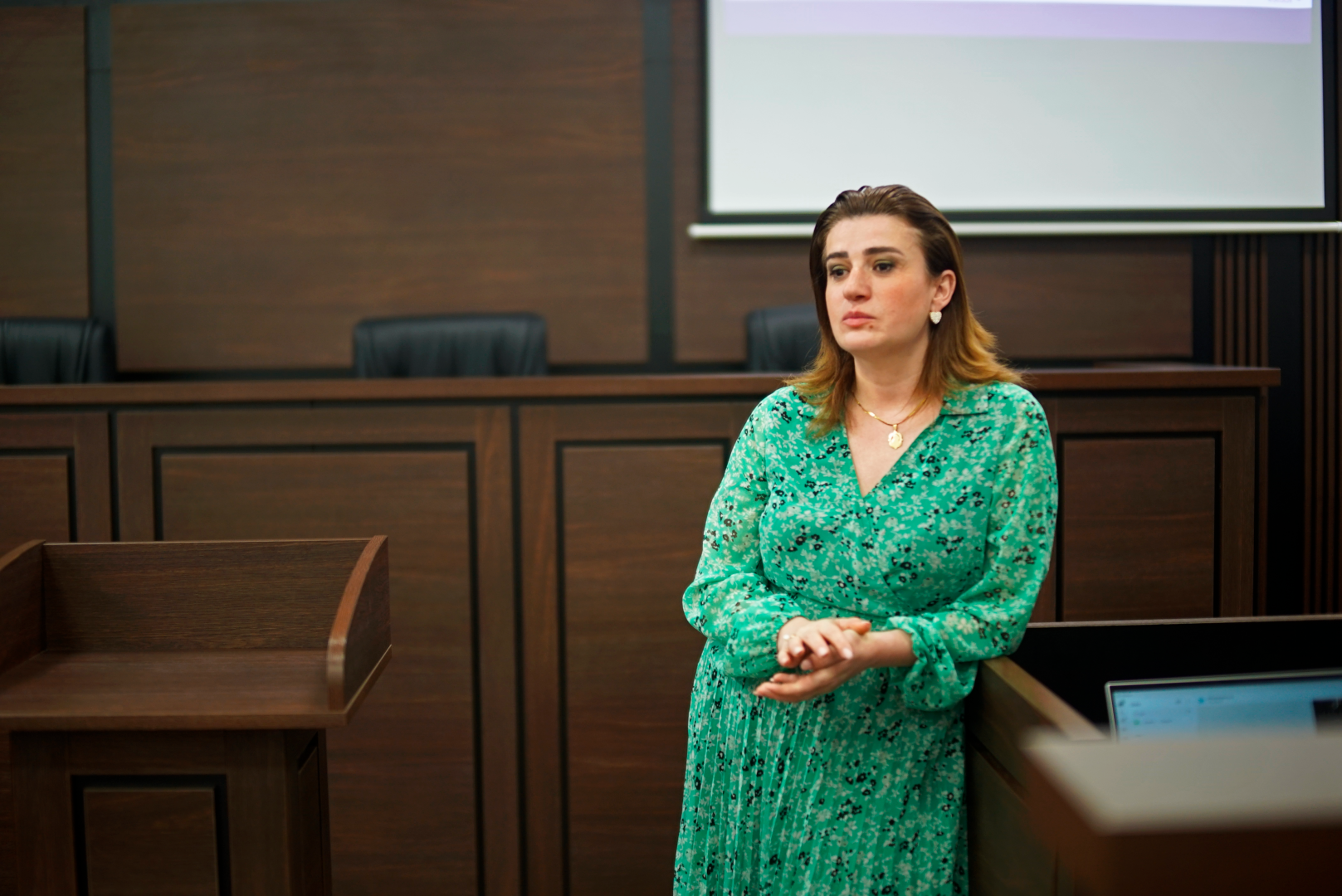 შეხვედრა თემაზე: ქალთა მიმართ ძალადობის&nbsp; პრევენციის გზები